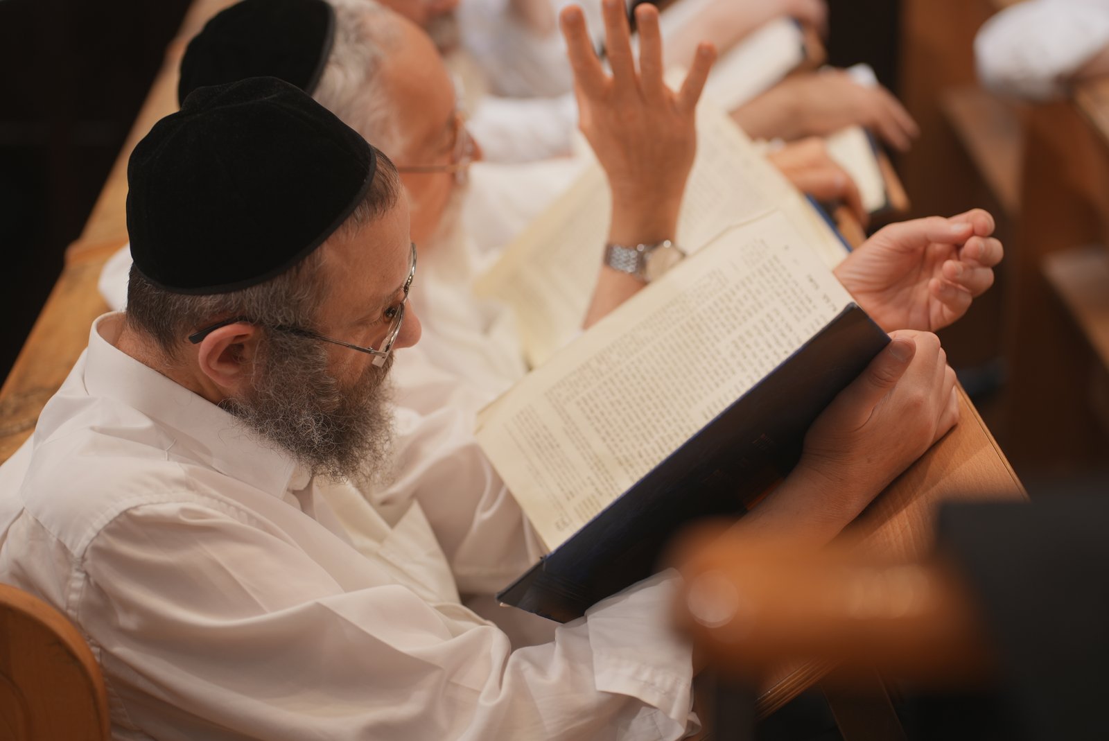 תמונה מבית המדרש