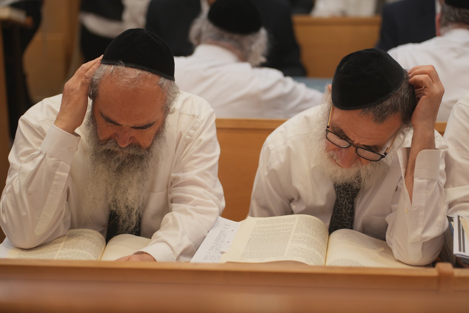 תמונה מבית המדרש