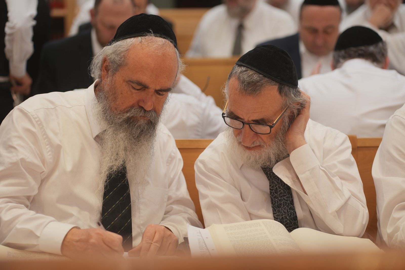 תמונה מבית המדרש